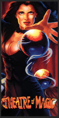 Cue Ball Wizard Pinball Playfield Protector