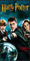Tapis de protection flipper Harry Potter V2