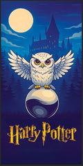 Tapis de protection flipper Harry Potter V6