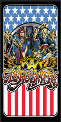 Tapis de protection flipper Aerosmith
