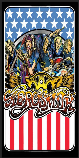 Tapis de protection flipper Aerosmith