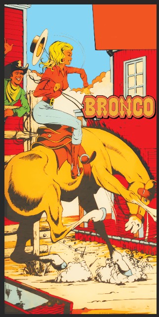 Tapis de protection flipper Bronco