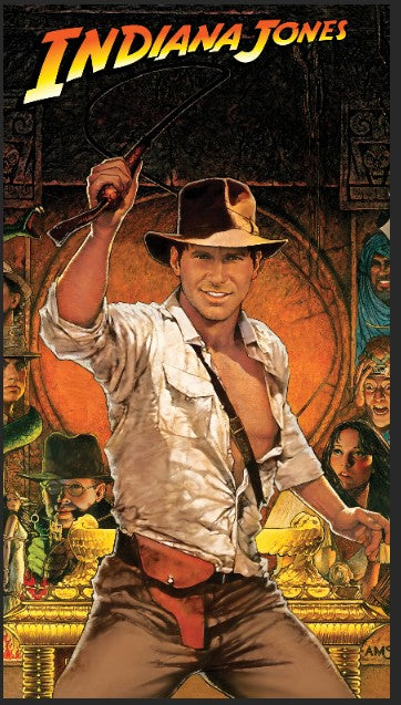 Flipper Schutzmatte Indiana Jones Wide Body