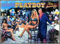 Translite Flipper Playboy 35th Anniversary