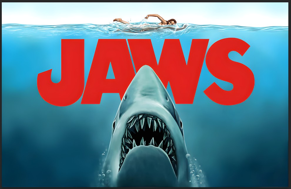 Flipper Kugel Zauberer