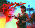 Translite Flipper Raven