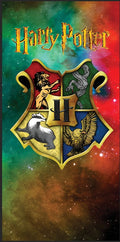 Tapis de protection flipper Harry Potter V3-2