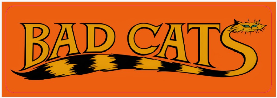 Plaque de porte flipper Bad Cats