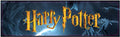 Plaque de porte flipper Harry Potter V4