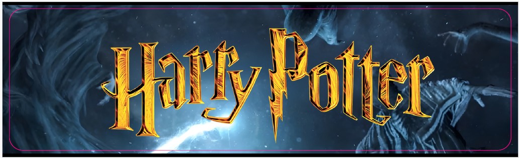 Plaque de porte flipper Harry Potter V4