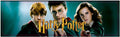 Plaque de porte flipper Harry Potter