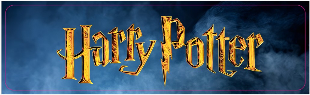 Plaque de porte flipper Harry Potter V3