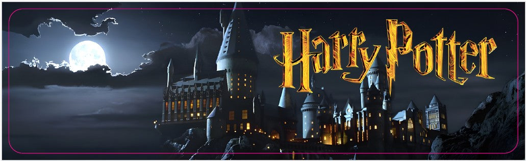 Plaque de porte flipper Harry Potter V6