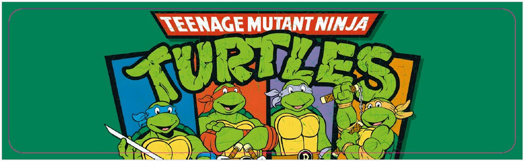 Plaque de porte flipper Teenage Mutant Ninja Turtles DE V2