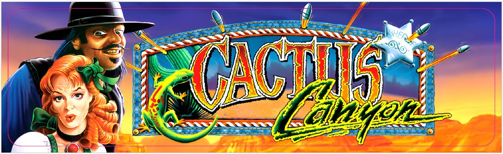 Plaque de porte flipper Cactus Canyon