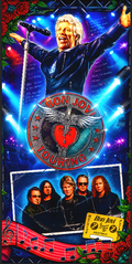 Bon Jovi Pinball Playfield Protector