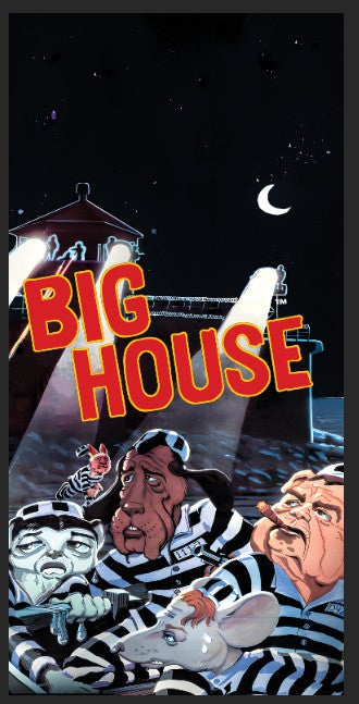 Tapis de protection flipper Big House
